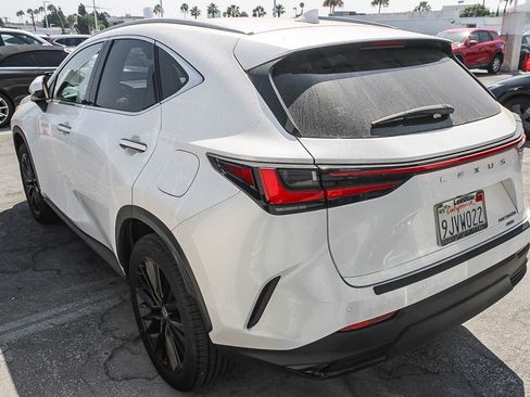 Used 2024 Lexus NX 350h AWD image 13