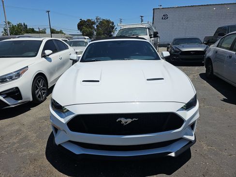 Used 2019 Ford Mustang GT Premium w/ Equipment Group 401A RWD image 2