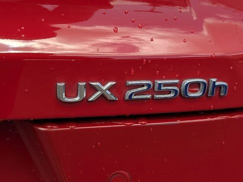 Used 2020 Lexus UX 250h w/ Premium Package image 12