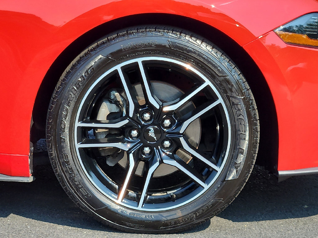 Used 2022 Ford Mustang Premium RWD image 14