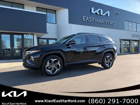 Used 2024 Hyundai Tucson Limited image 1