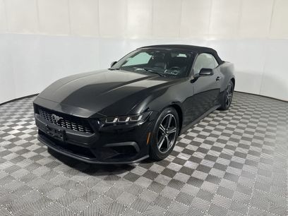 Used 2025 Ford Mustang Premium