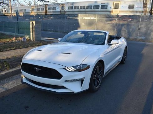 Used 2023 Ford Mustang Premium RWD image 3