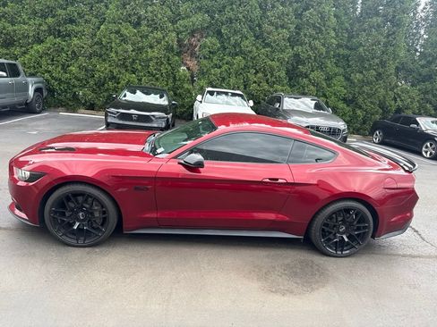 Used 2015 Ford Mustang GT Premium w/ 50 Years Appearance Package RWD image 1