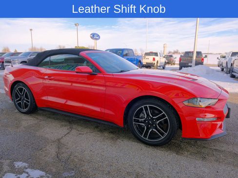 Used 2022 Ford Mustang Premium image 12