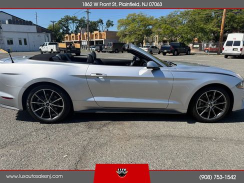 Used 2019 Ford Mustang Premium w/ Equipment Group 201A RWD image 43