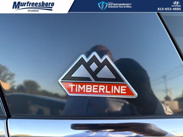 Used 2022 Ford Expedition Timberline AWD/4WD image 7