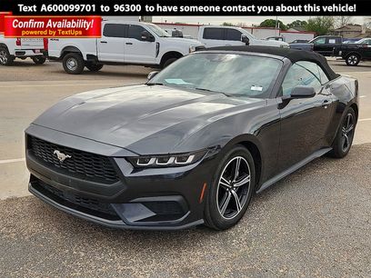 Used 2024 Ford Mustang Premium