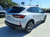 Used 2025 Ford Escape ST-Line image 5