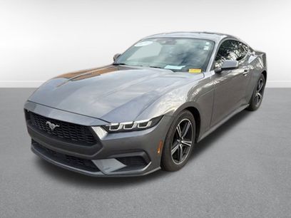 Used 2025 Ford Mustang Premium