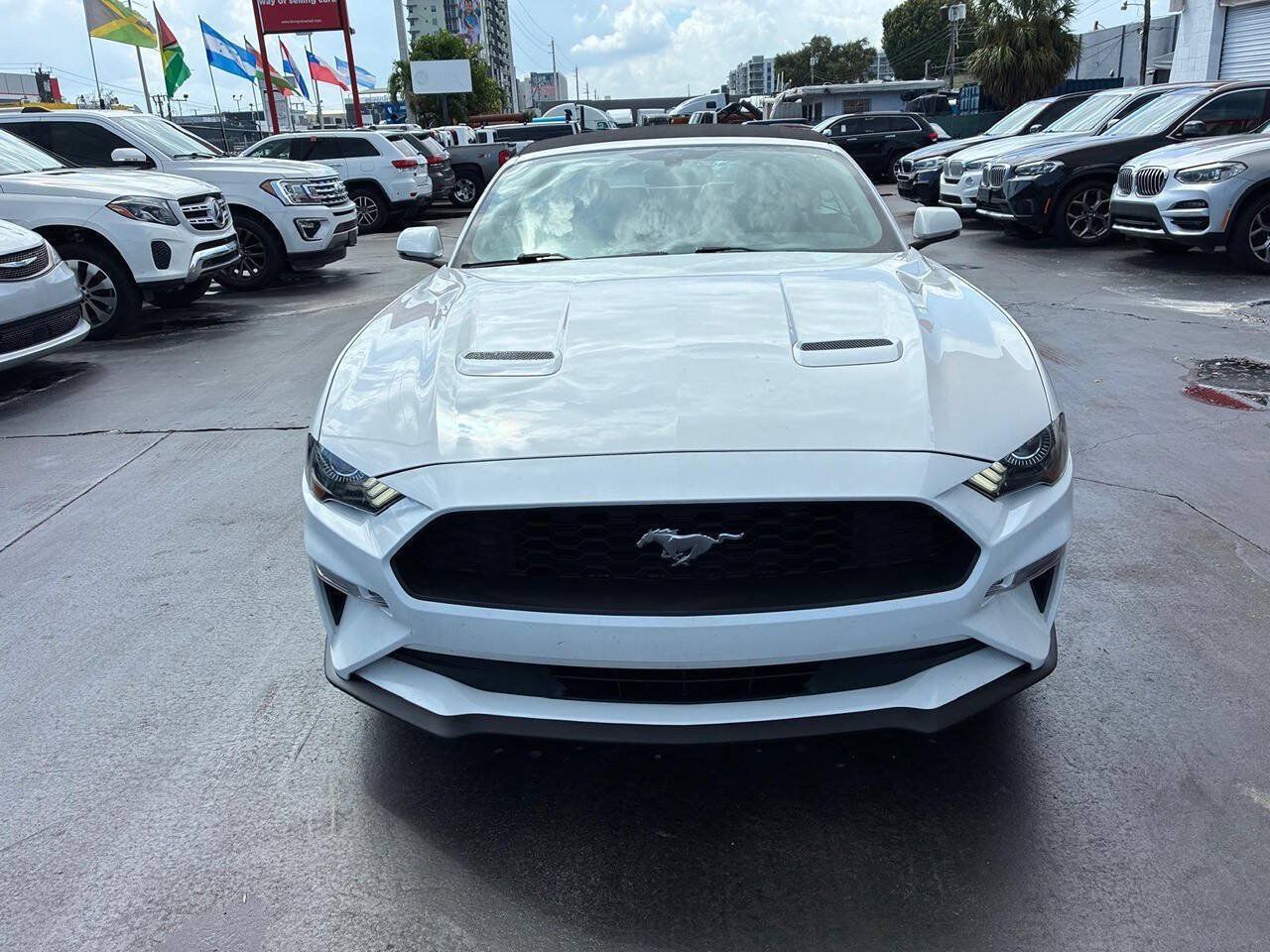 Used 2020 Ford Mustang Premium RWD image 1