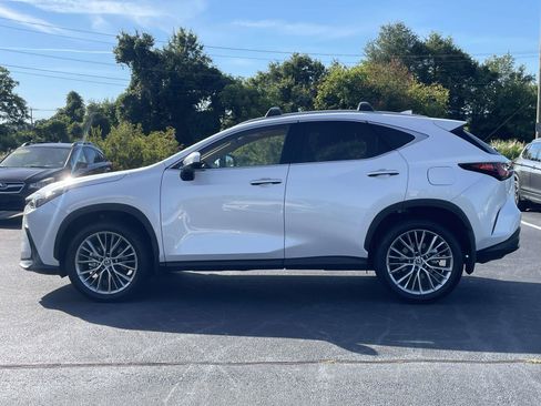 Used 2025 Lexus NX 350 AWD w/ Accessory Package (2T) image 4
