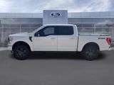 Used 2021 Ford F150 XLT w/ Equipment Group 302A High image 2