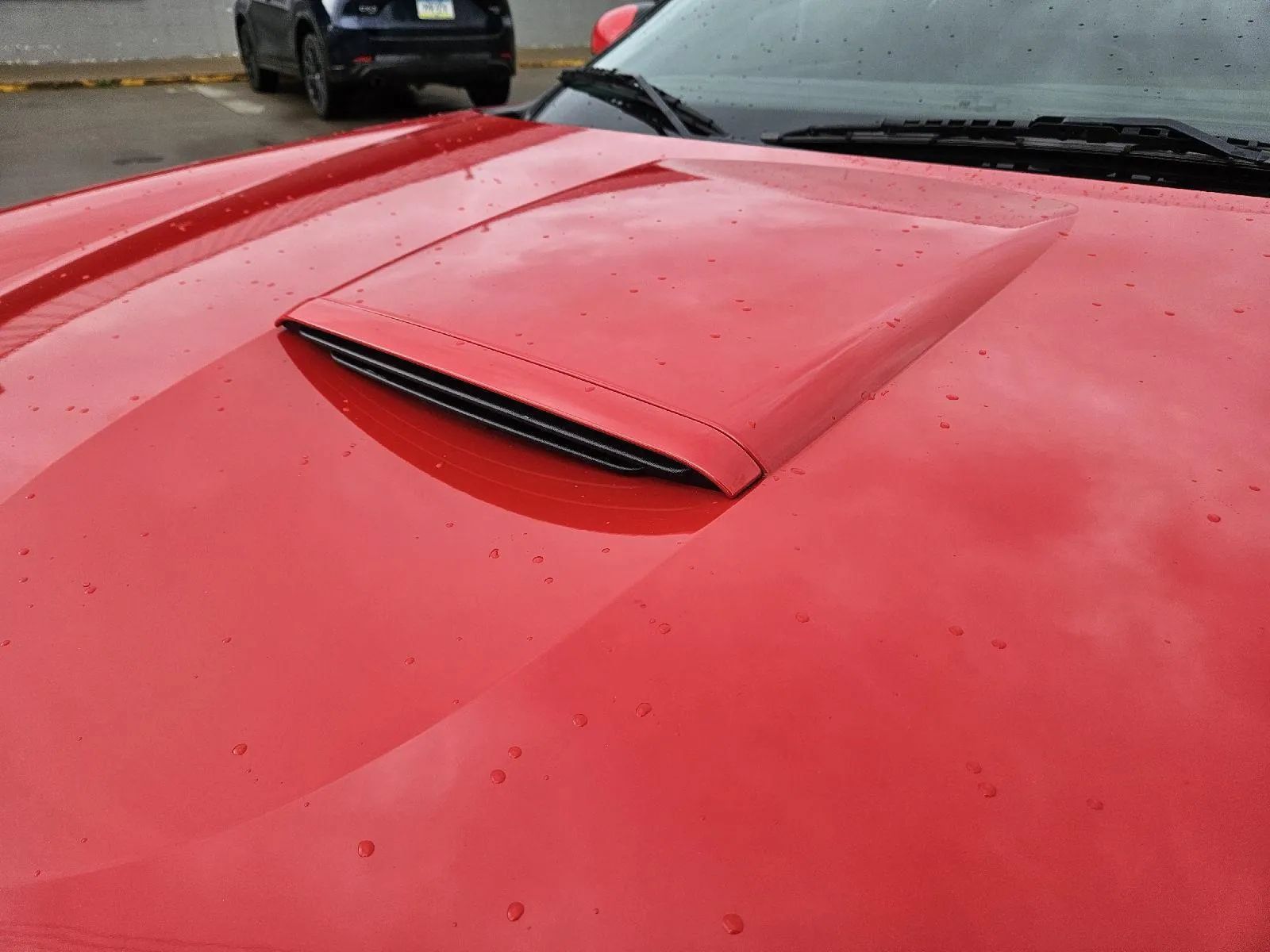 Used 2002 Ford Thunderbird RWD image 10