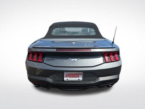 Used 2025 Ford Mustang Premium RWD image 4