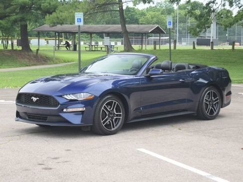 Used 2018 Ford Mustang Premium w/ Equipment Group 201A RWD image 19