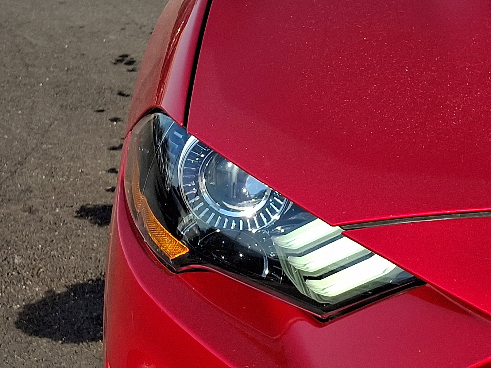 Used 2020 Ford Mustang Premium w/ Equipment Group 201A RWD image 9