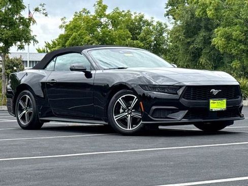 Used 2025 Ford Mustang Convertible RWD image 8