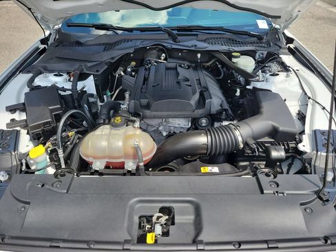 Used 2017 Ford Mustang Premium RWD image 37