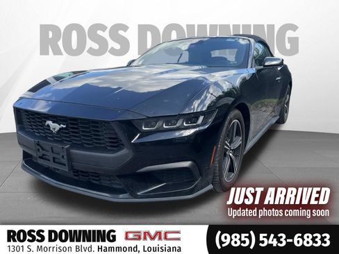 Used 2024 Ford Mustang Premium RWD image 1
