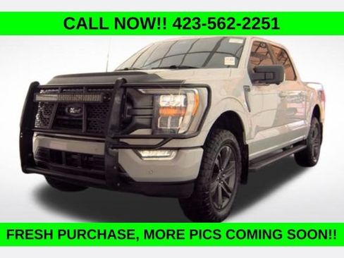 Used 2023 Ford F150 XLT w/ Equipment Group 302A High AWD/4WD image 1