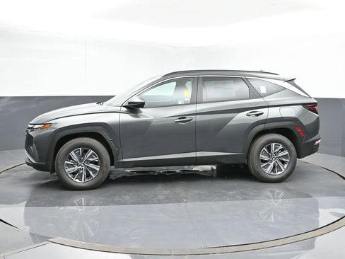 Used 2024 Hyundai Tucson Blue image 2