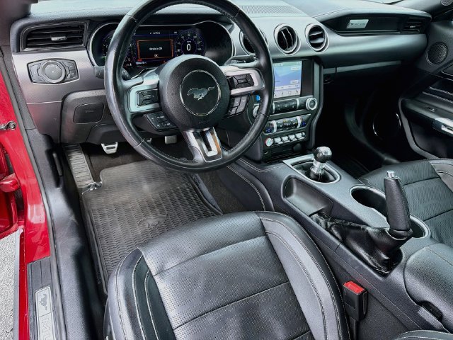 Used 2019 Ford Mustang GT Premium w/ Equipment Group 401A RWD image 9