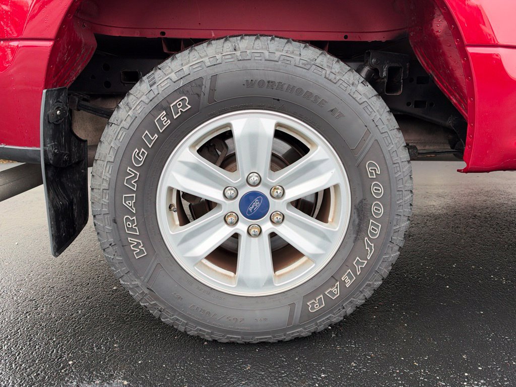 Used 2015 Ford F150 XLT w/ Equipment Group 301A Mid AWD/4WD image 6