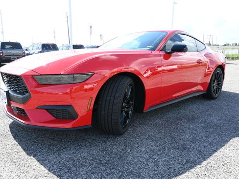 New 2026 Ford Mustang Coupe w/ Mustang Nite Pony Package RWD image 7