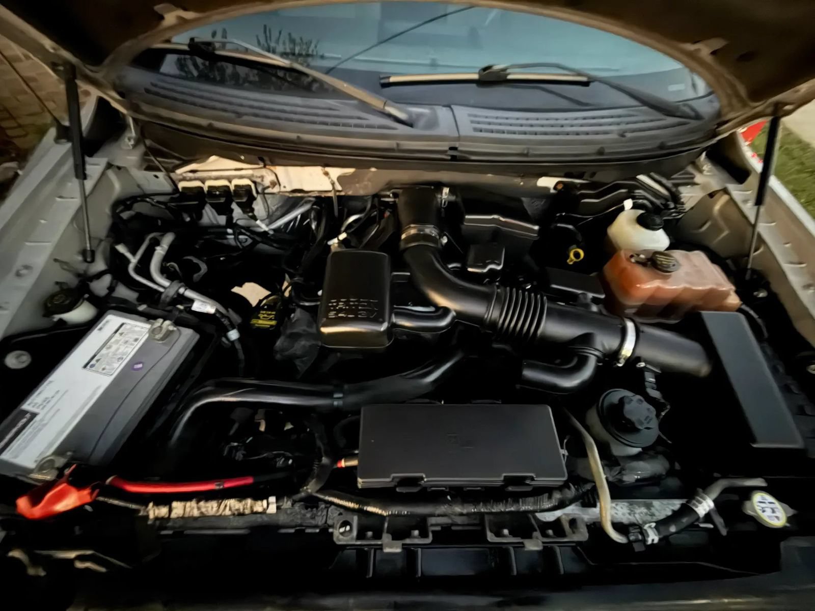 Used 2010 Ford F150 FX4 AWD/4WD image 29
