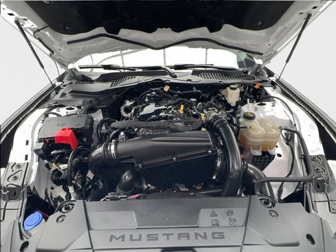 Used 2024 Ford Mustang EcoBoost image 11