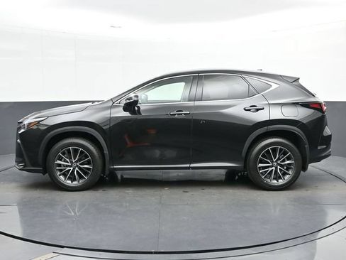 Certified 2024 Lexus NX 350 AWD image 5