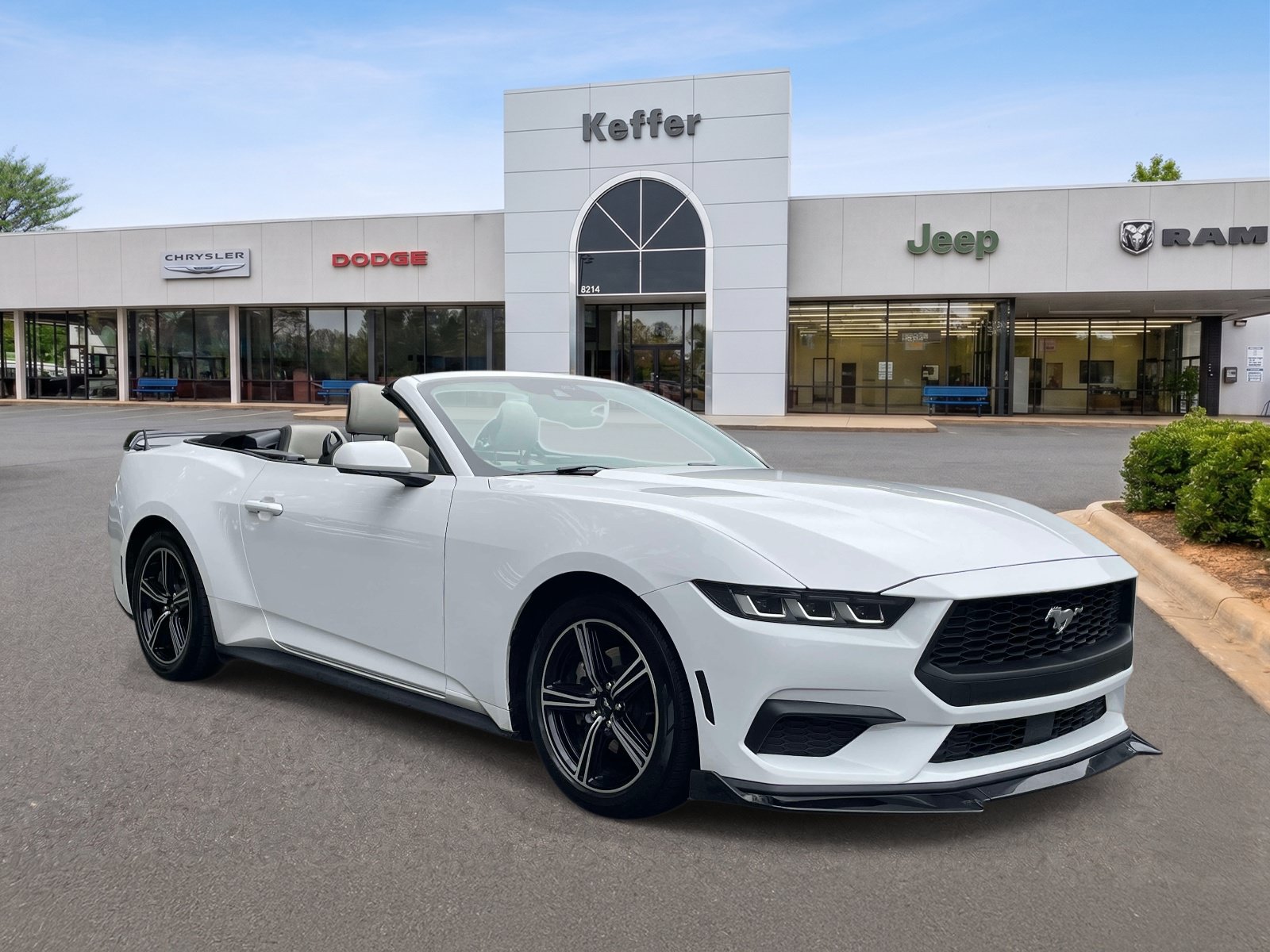Used 2024 Ford Mustang Premium RWD image 3