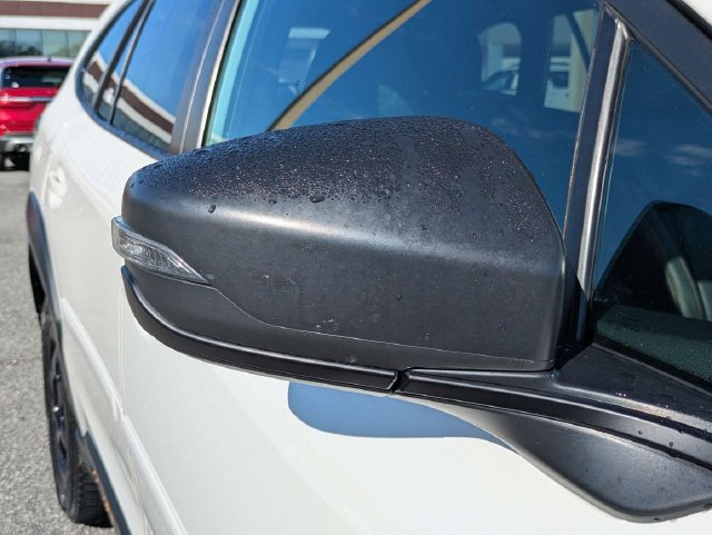 Used 2023 Subaru Outback Wilderness AWD/4WD image 12