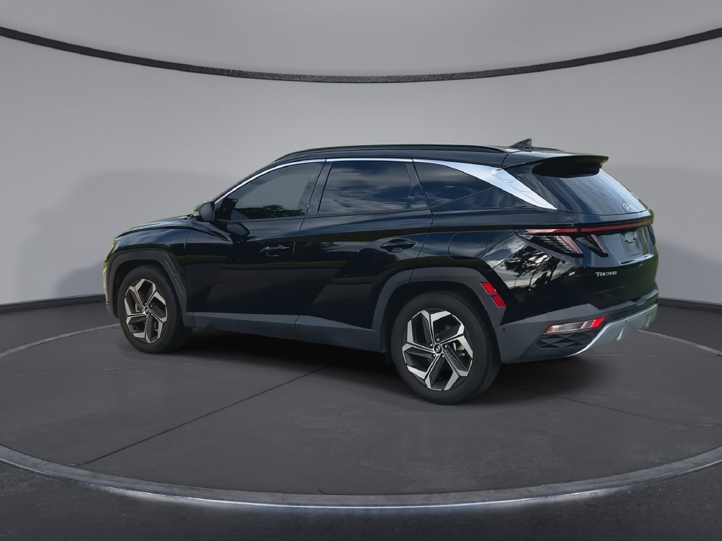 Used 2024 Hyundai Tucson Limited FWD image 6