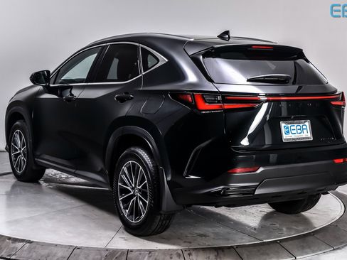 Used 2025 Lexus NX 350h AWD w/ Premium Package image 4