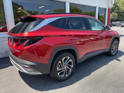 Used 2025 Hyundai Tucson Limited image 5