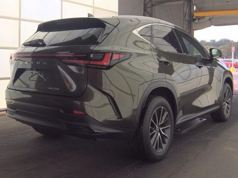 Used 2024 Lexus NX 250 FWD image 4