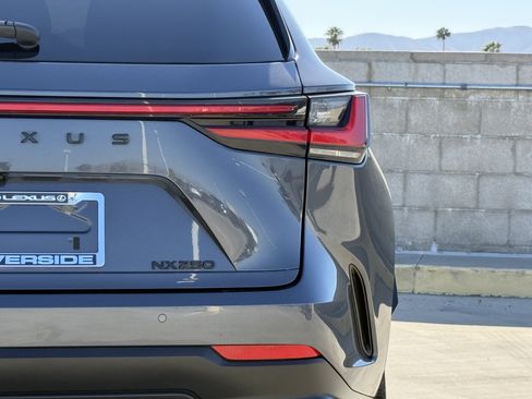 Certified 2025 Lexus NX 250 FWD w/ Cold Area Package image 13