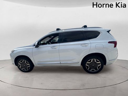 Used 2021 Hyundai Santa Fe Calligraphy AWD/4WD image 6