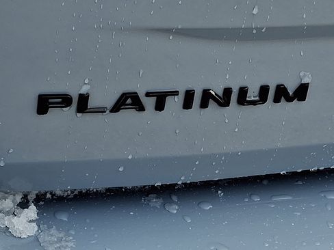 Used 2025 Ford Expedition Platinum w/ Stealth Appearance Package image 31