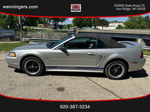 Used 2000 Ford Mustang Convertible RWD image 1