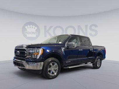 Used 2023 Ford F150 XLT w/ Equipment Group 302A High