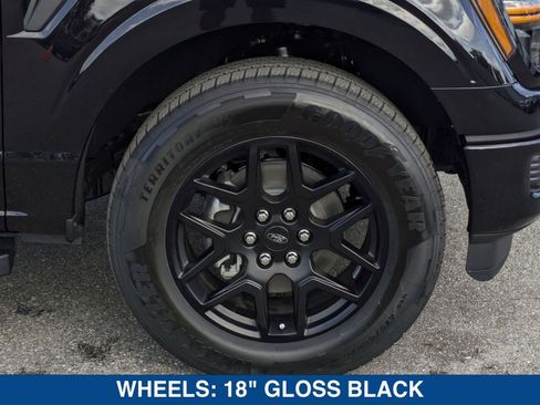 New 2025 Ford F150 STX w/ STX Black Appearance Package image 12
