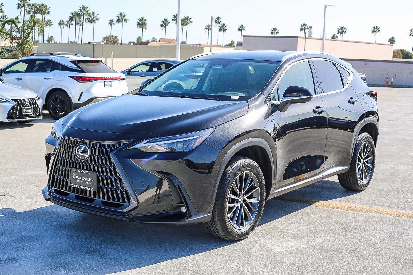 Used 2022 Lexus NX 350 AWD image 3