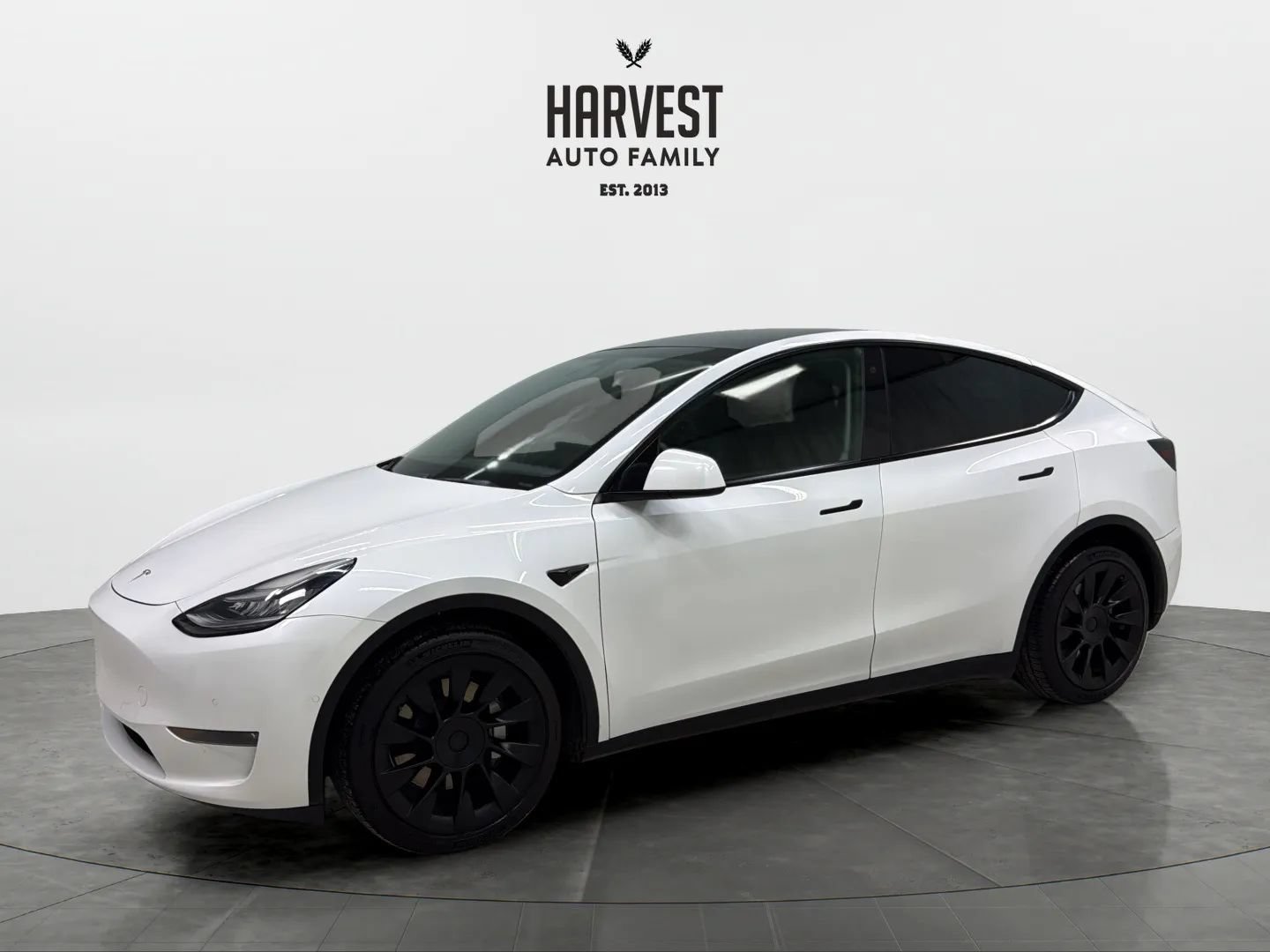 Used 2020 Tesla Model Y Long Range AWD/4WD image 1