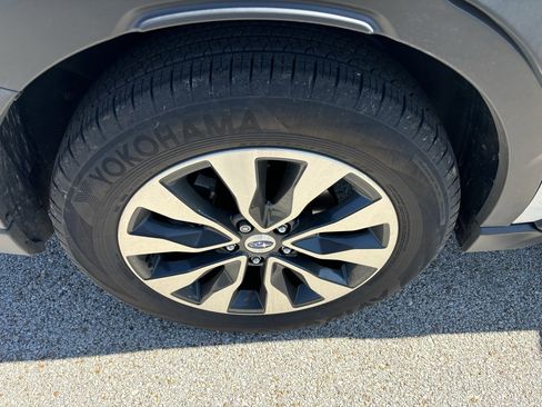 Used 2025 Subaru Outback Limited image 8