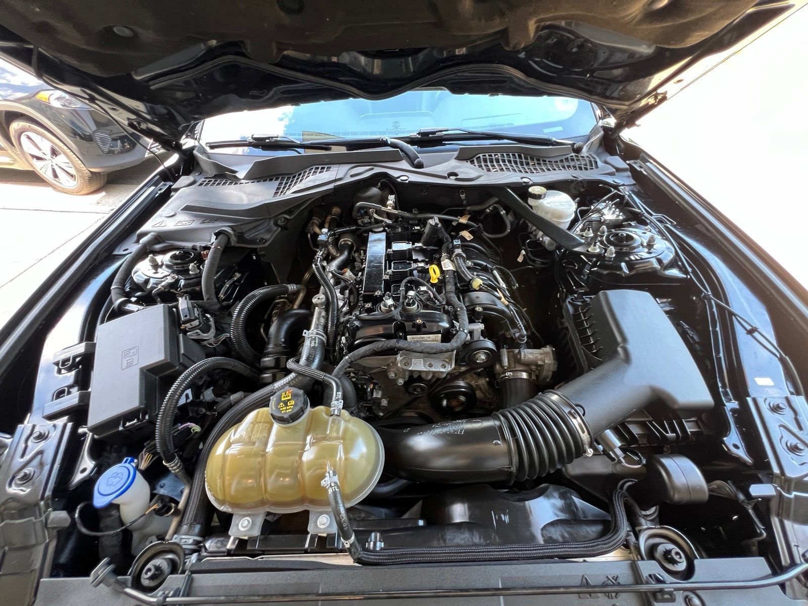 Used 2022 Ford Mustang Premium RWD image 21