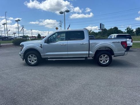 Used 2025 Ford F150 XLT w/ Equipment Group 301A Standard AWD/4WD image 7