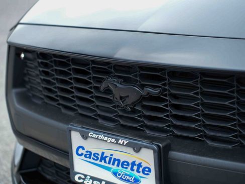 Used 2025 Ford Mustang Premium RWD image 21